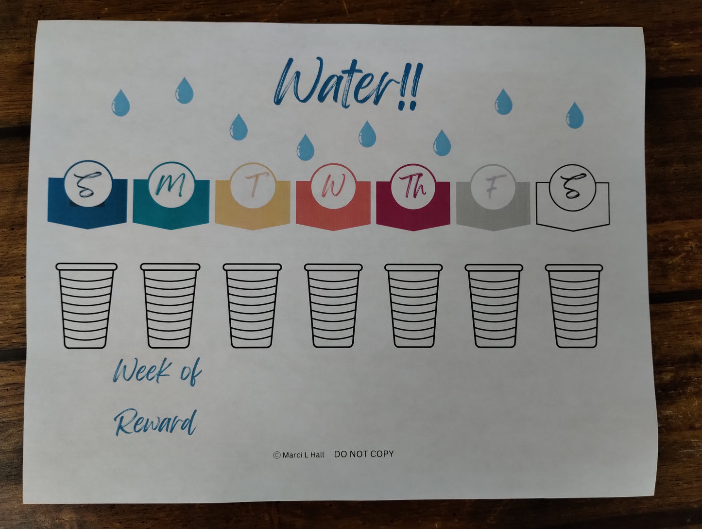 Summer Survival Organizer